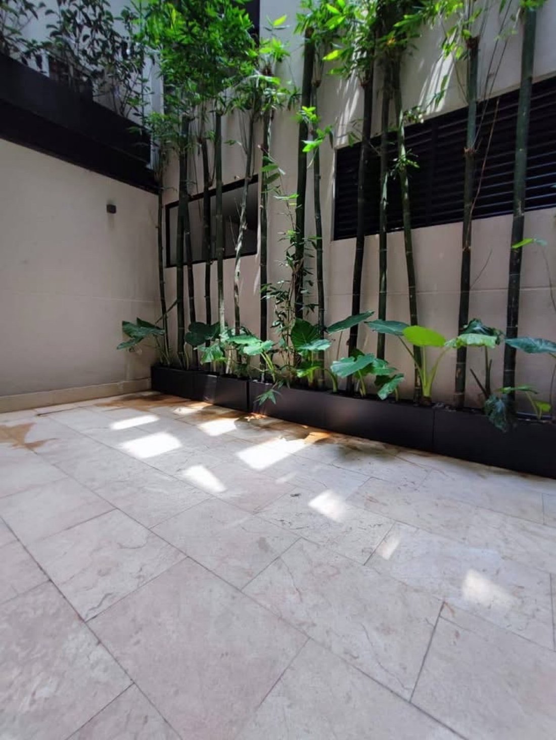 Apartment in Mexico City, Mexico 3 - 18696201