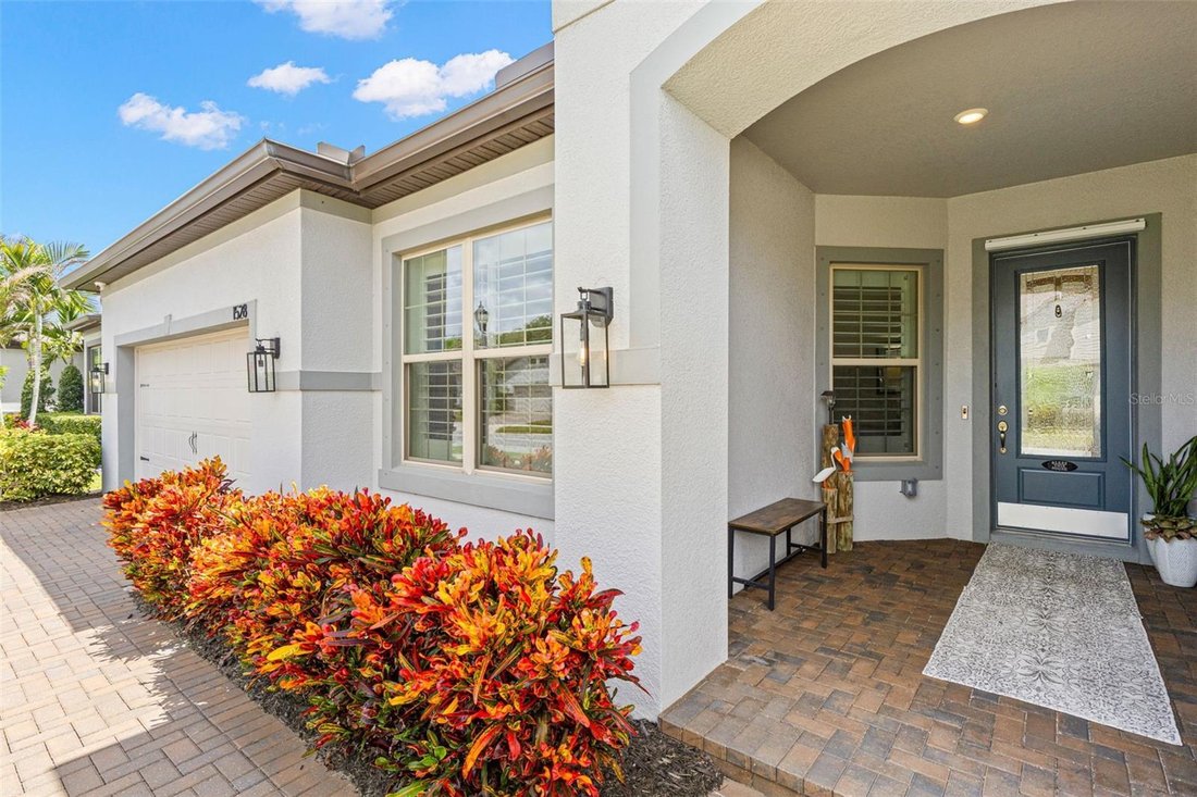 House in Palm Harbor, Florida, United States 4 - 18698053