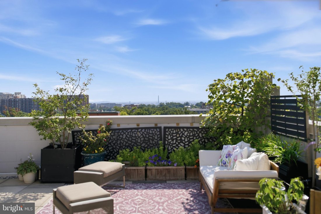 Condo in Arlington, Virginia, United States 5 - 18696573