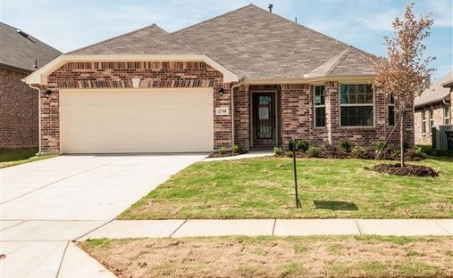 House in Little Elm, Texas, United States 1