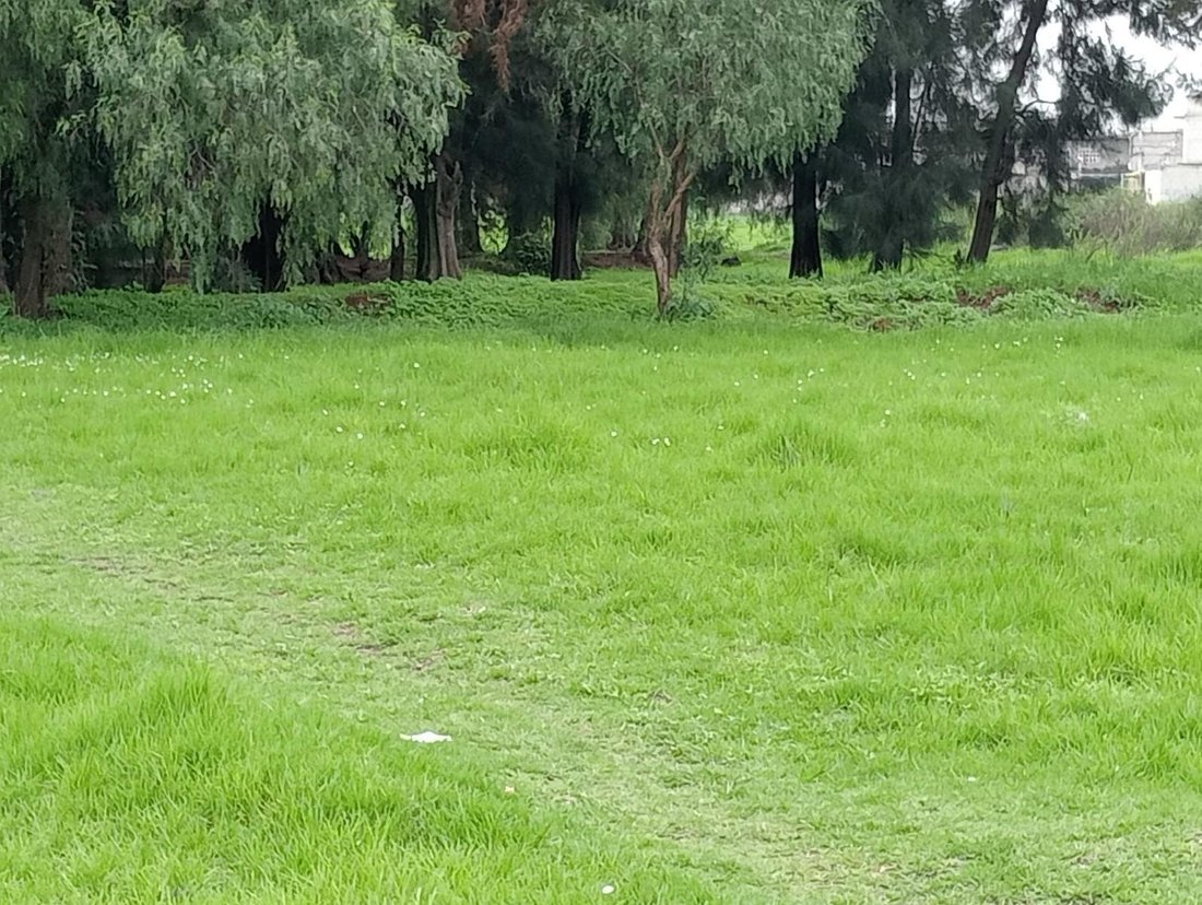 Land in Ecatepec de Morelos, State of Mexico, Mexico 2 - 18696245