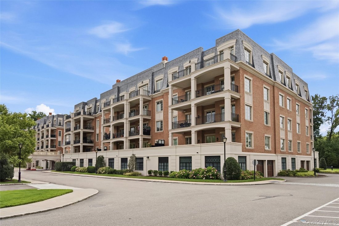 Condo in New Hyde Park, New York, United States 1 - 18698905
