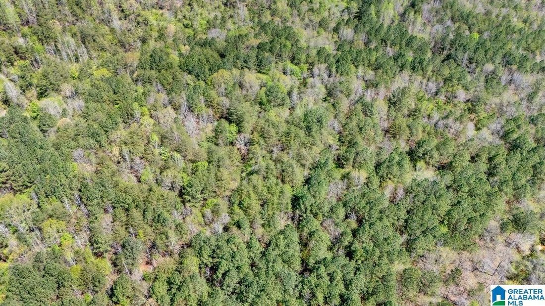 Land in Trussville, Alabama, United States 4 - 18698151