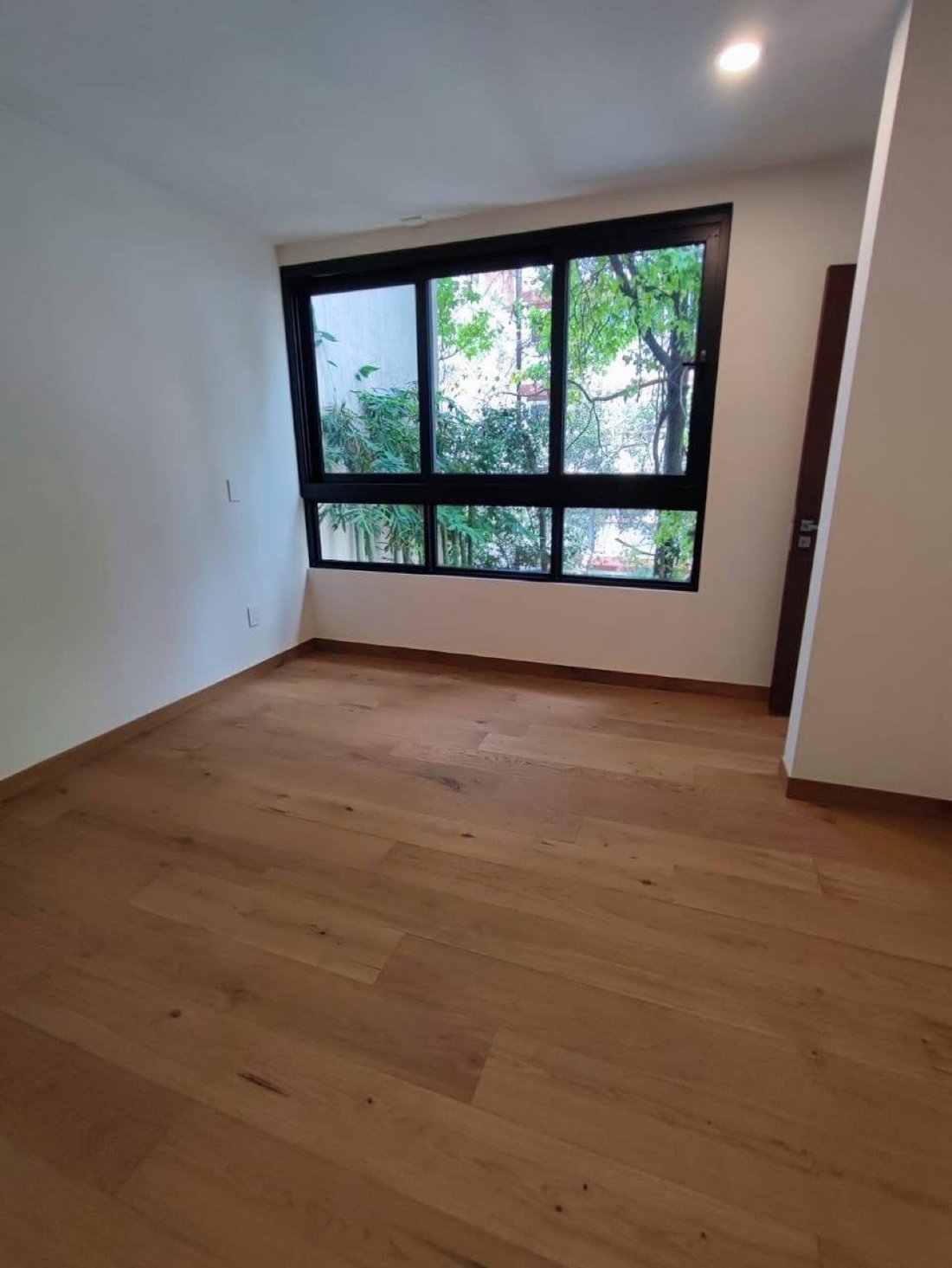 Apartment in Mexico City, Mexico 4 - 18696201