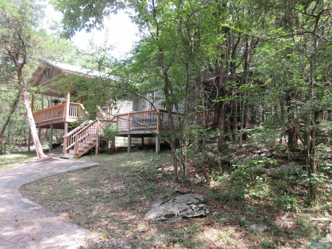 Farm Ranch in Hytop, Alabama, United States 5 - 18696994