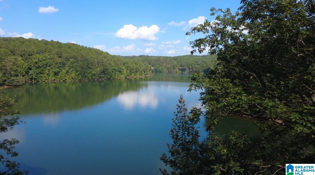 Land in Jasper, Alabama, United States 4 - 18698113