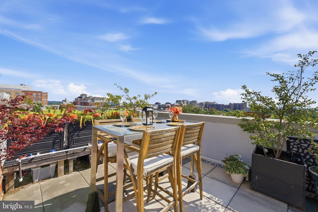 Condo in Arlington, Virginia, United States 4 - 18696573