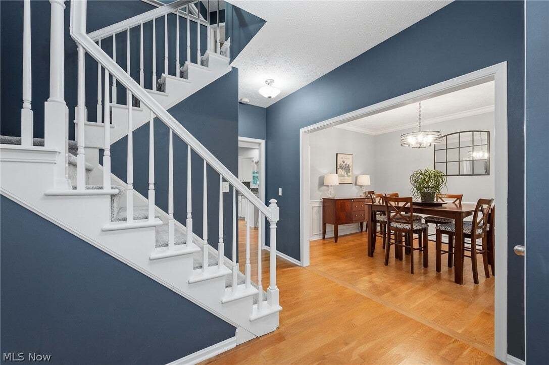 House in Strongsville, Ohio, United States 3 - 18699156