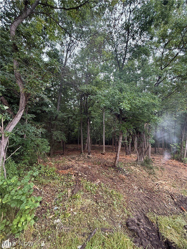 Land in Canton, Ohio, United States 5 - 18698004