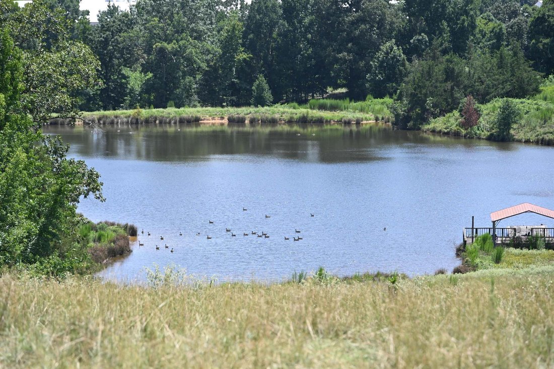 Azienda agricola a De Queen, Arkansas, Stati Uniti 3 - 18696739