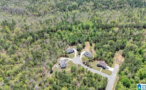 Terreno a Trussville, Alabama, Stati Uniti 1