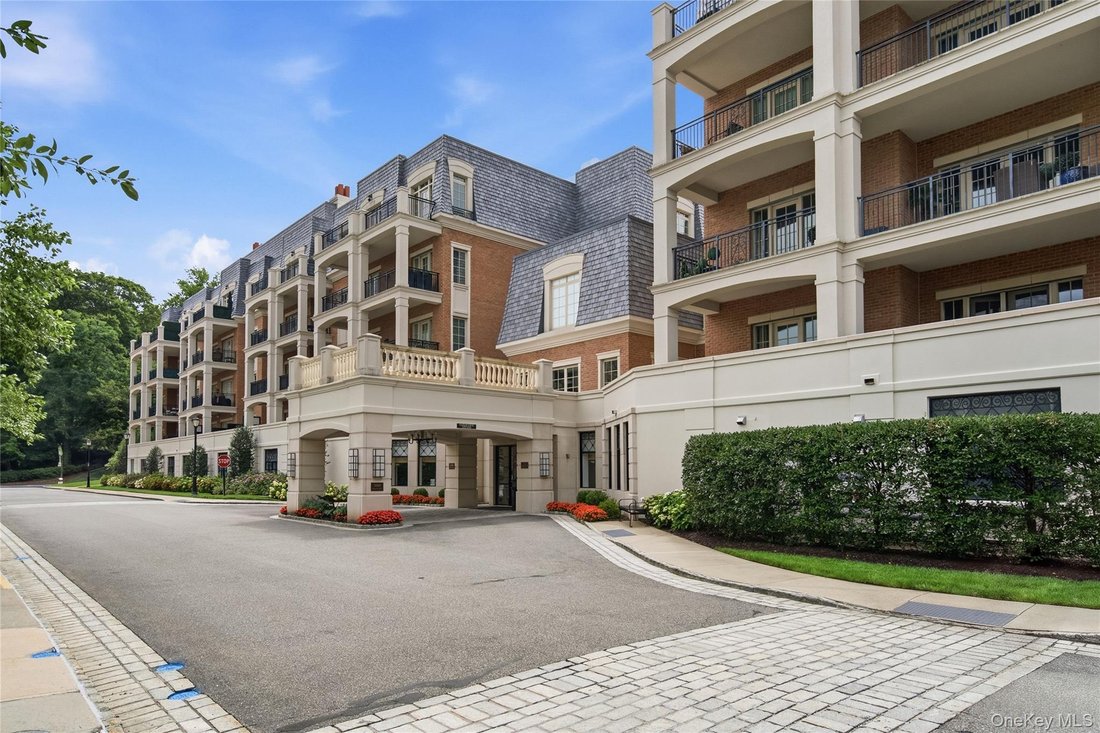 Condo in New Hyde Park, New York, United States 2 - 18698905