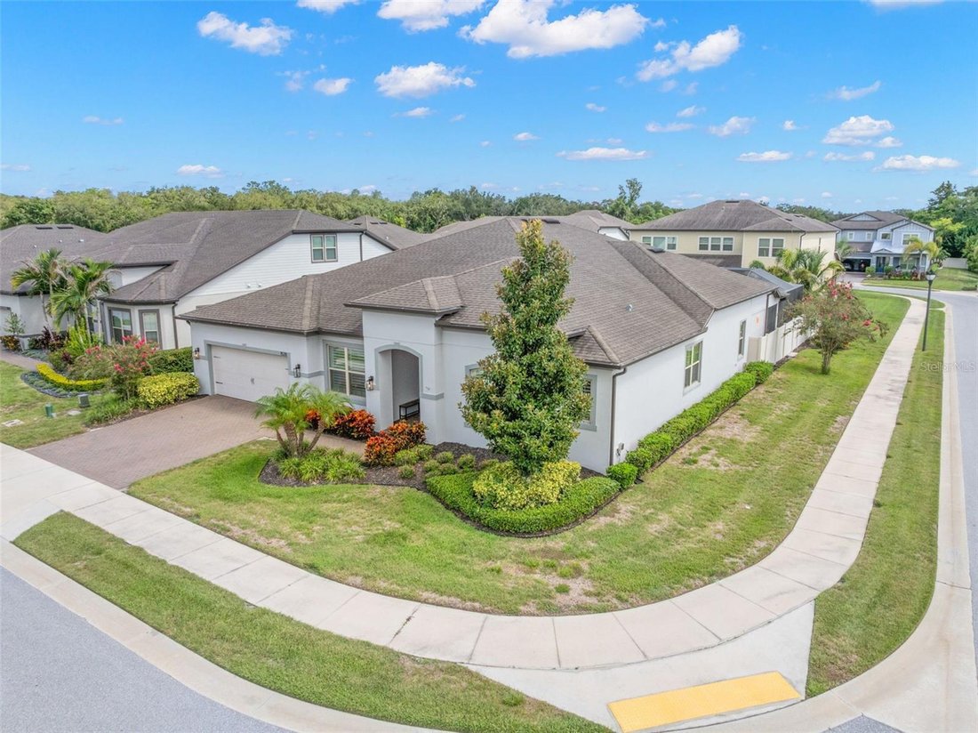 House in Palm Harbor, Florida, United States 2 - 18698053