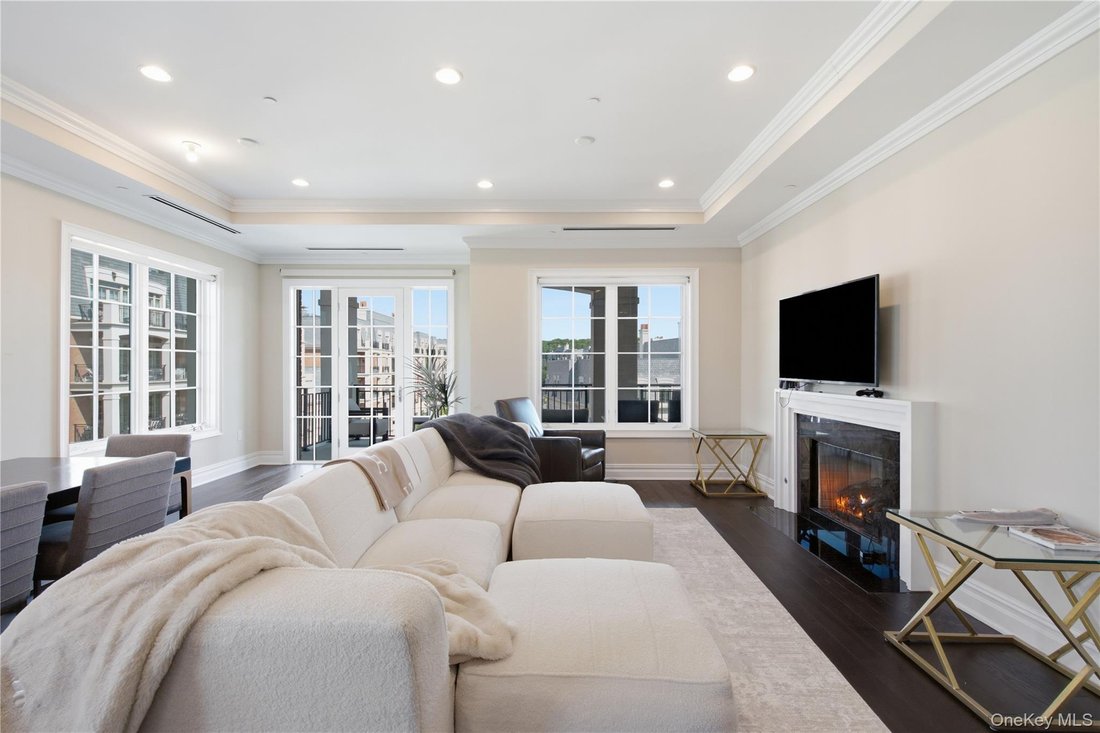 Condo in New Hyde Park, New York, United States 4 - 18698905