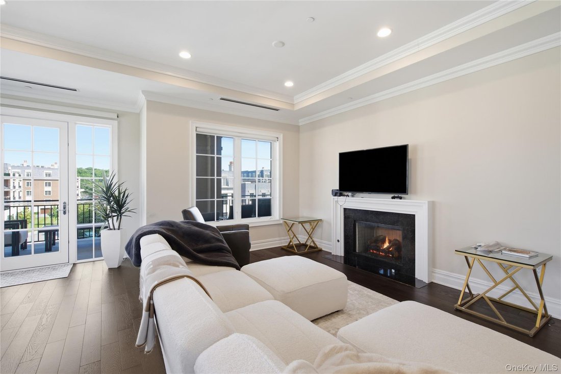 Condo in New Hyde Park, New York, United States 5 - 18698905
