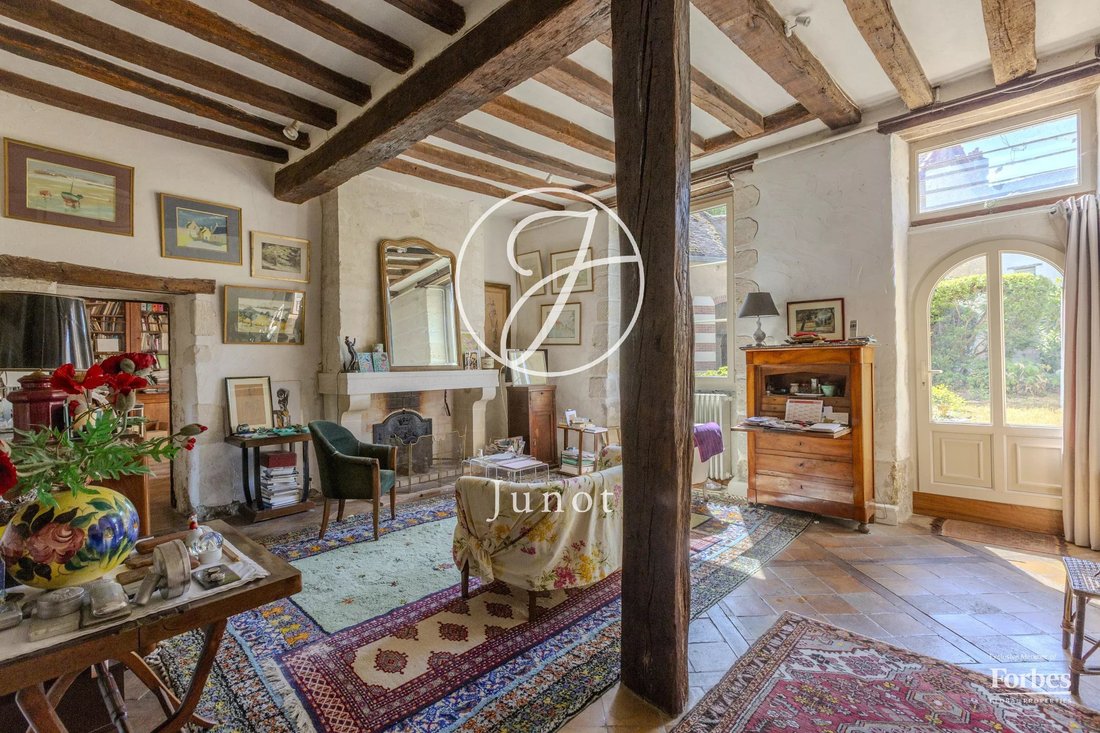Townhouse in Centre Ville, Vendôme, France 3 - 18699225