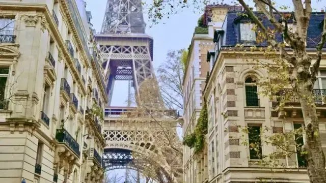 Apartment in Gros Caillou, Paris 7e Arrondissement, Paris 1 - 15868905
