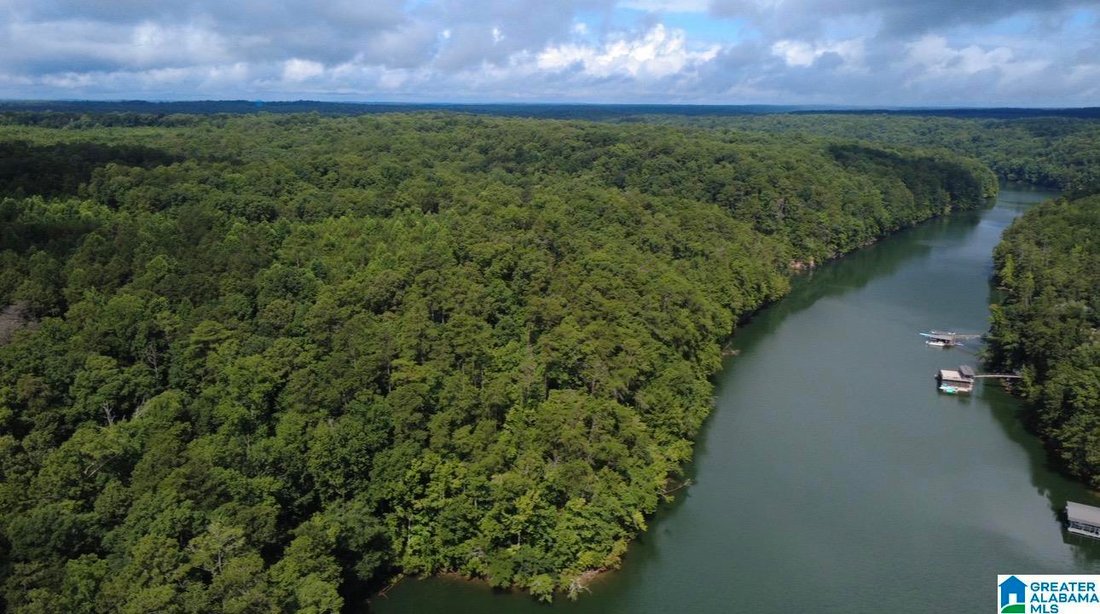 Land in Jasper, Alabama, United States 2 - 18698113