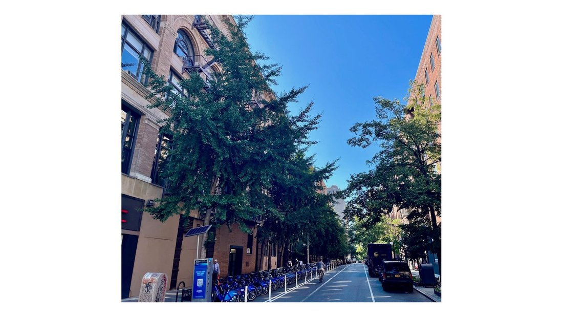Co Op in New York, New York, United States 4 - 18698875