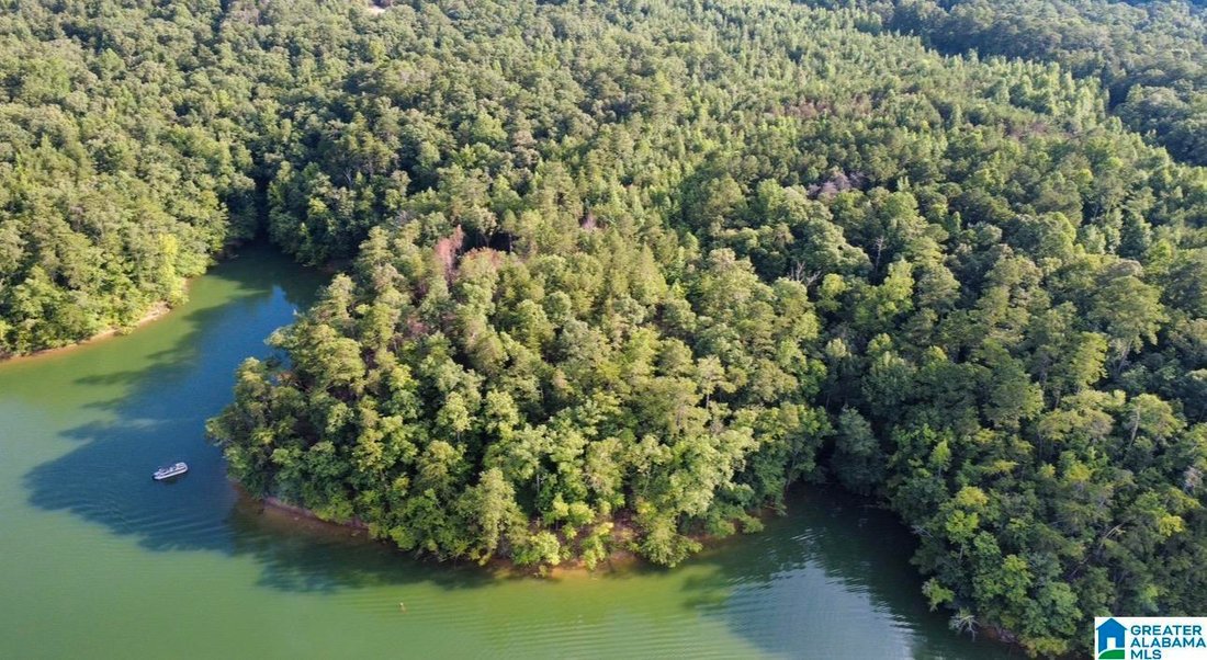 Land in Jasper, Alabama, United States 3 - 18698113