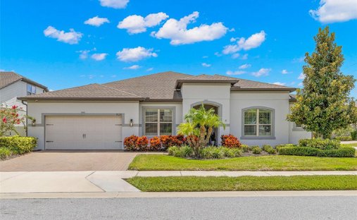 House in Palm Harbor, Florida, United States 1