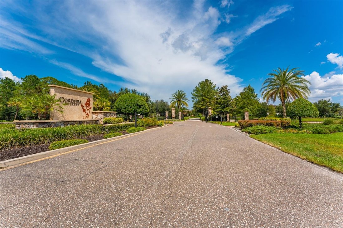 House in Lutz, Florida, United States 3 - 18697552