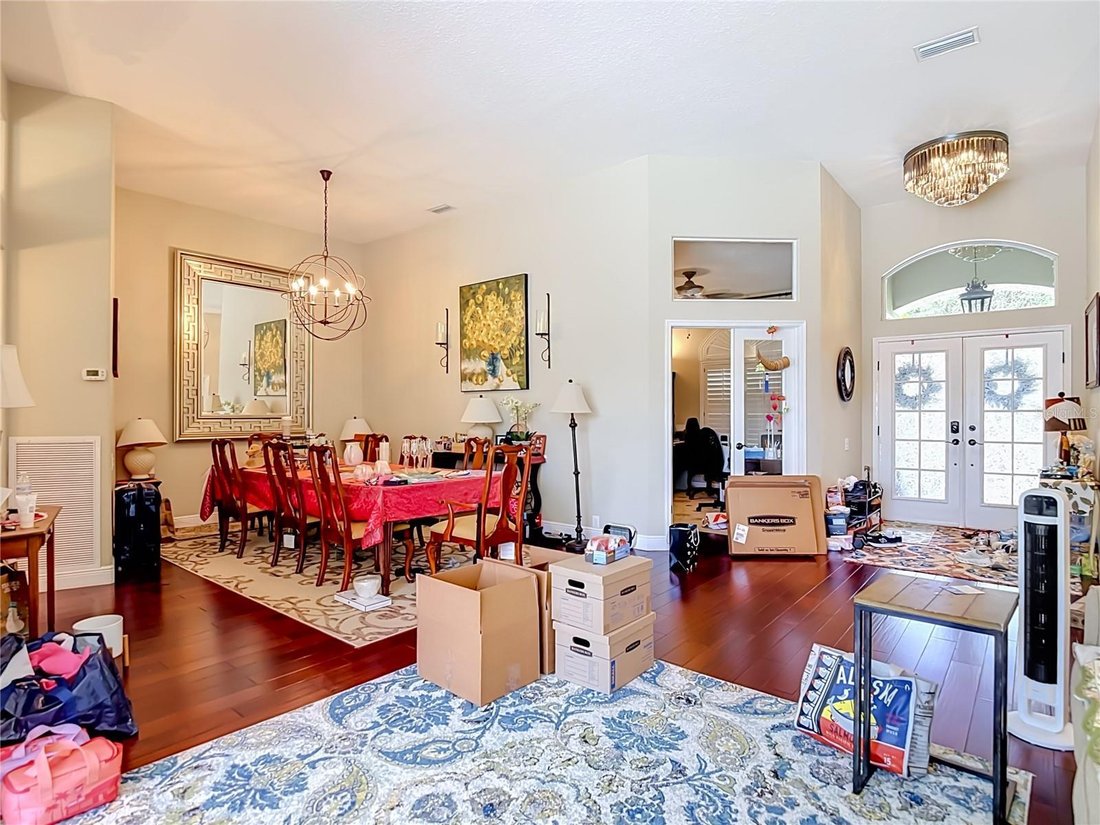 House in Tampa, Florida, United States 3 - 18697582