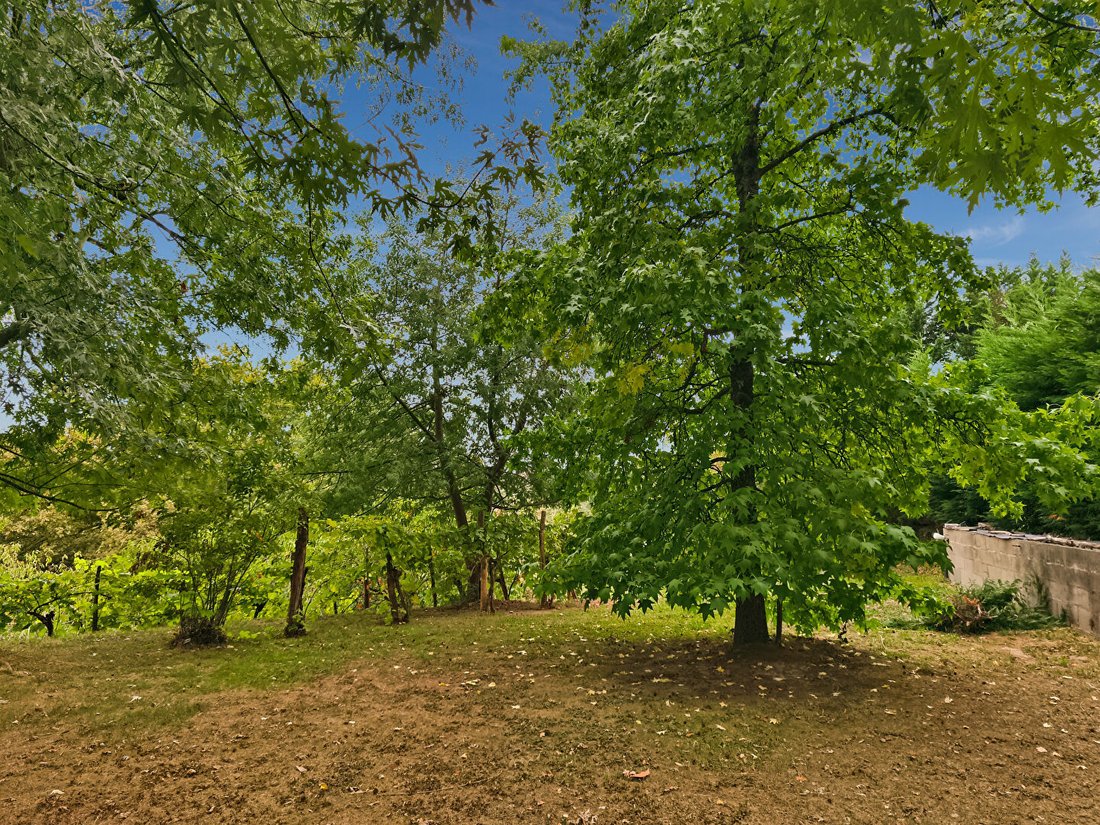 Villa in Baigts-de-Bearn, Nouvelle-Aquitaine, France 4 - 18699426