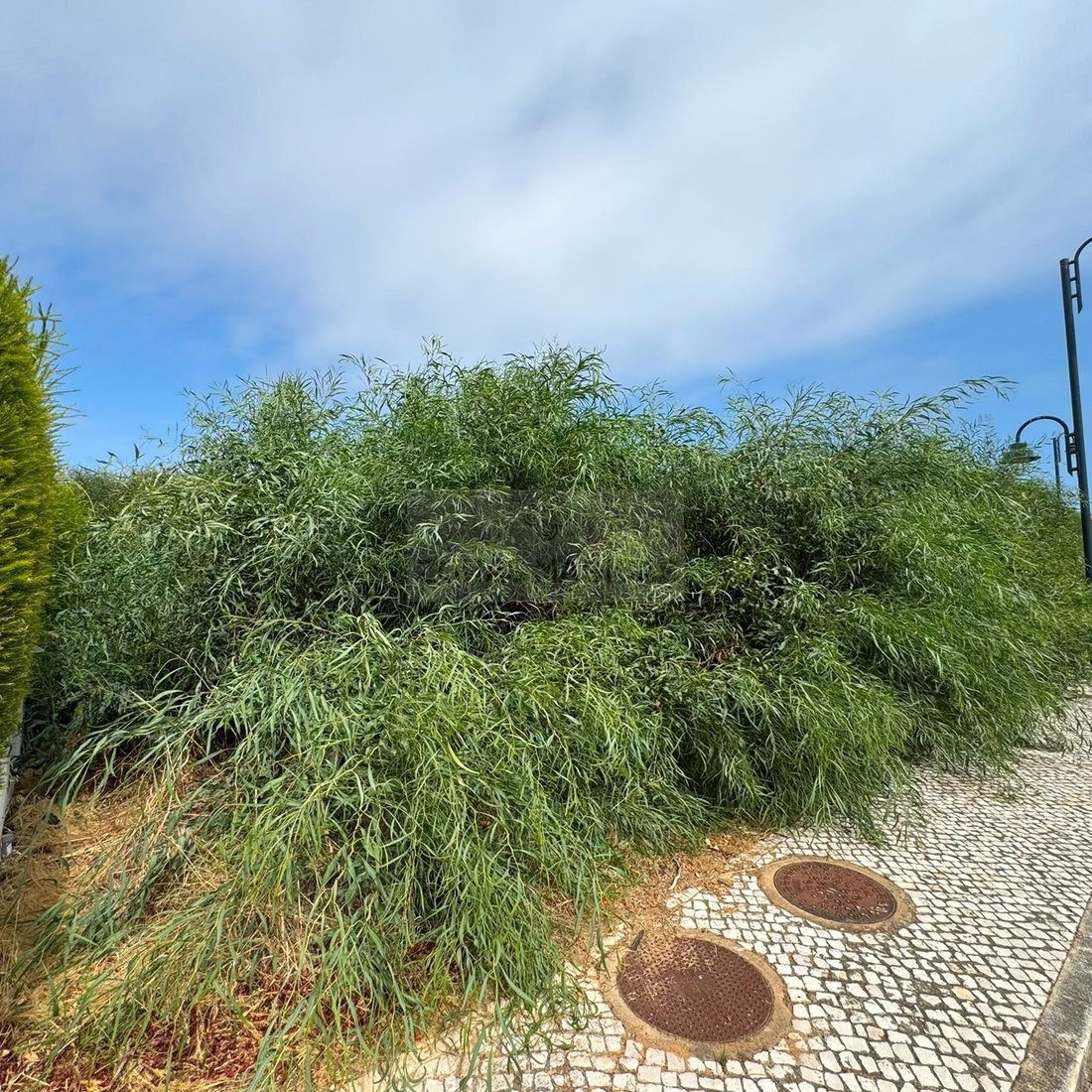 Land in Praia De Porto Mós, Sao Goncalo de Lagos, Algarve 1 - 18699185