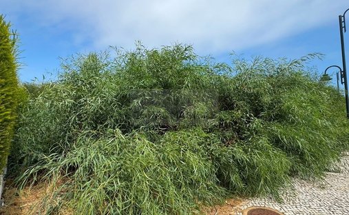 Terreno en Praia De Porto Mós, Sao Goncalo de Lagos, Algarve 1