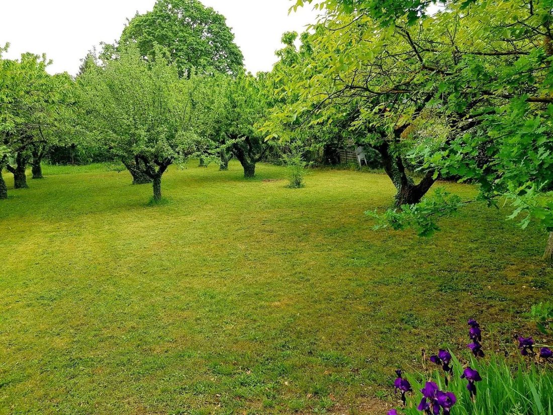 Land in Sainte-Foy-lès-Lyon, Auvergne-Rhône-Alpes, France 2 - 16461669