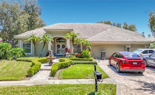 House in Tampa, Florida, United States 1