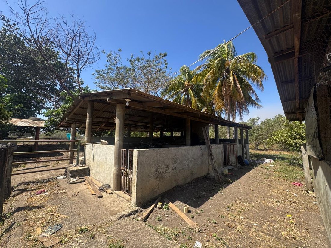 Farm Ranch in San Jerónimo, Leon, Nicaragua 3 - 18698240