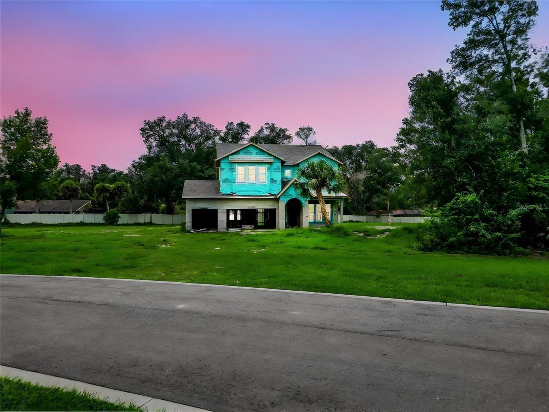 House in Lutz, Florida, United States 4 - 18698146