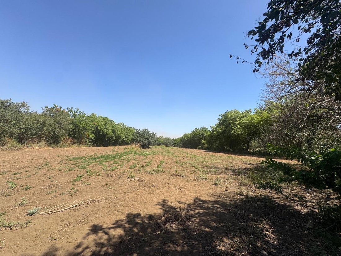 Farm Ranch in San Jerónimo, Leon, Nicaragua 5 - 18698240