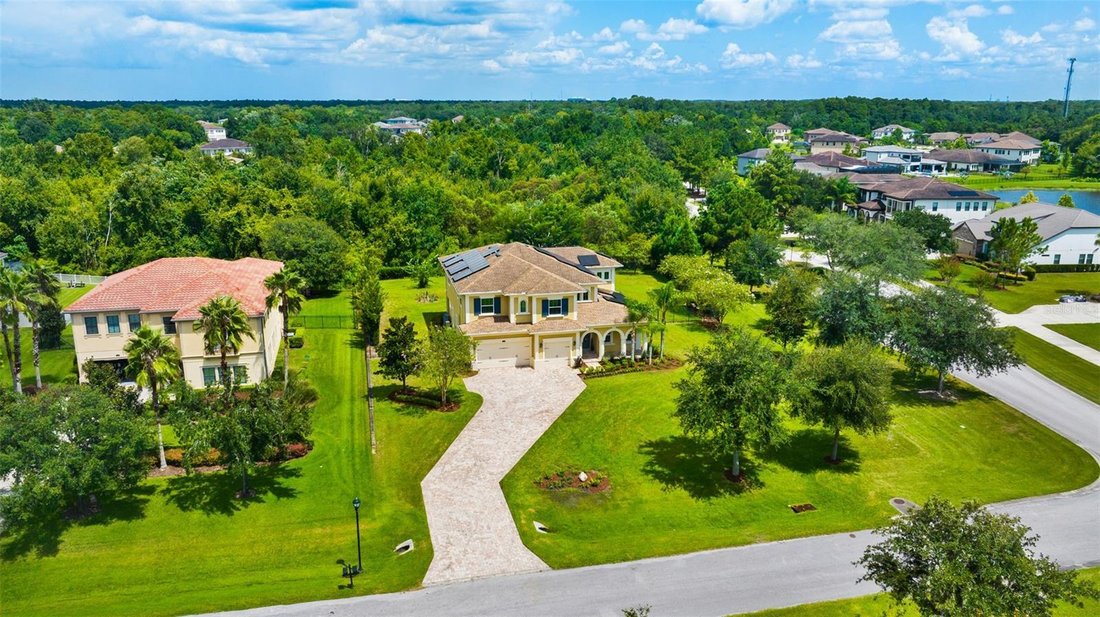 House in Lutz, Florida, United States 2 - 18697552