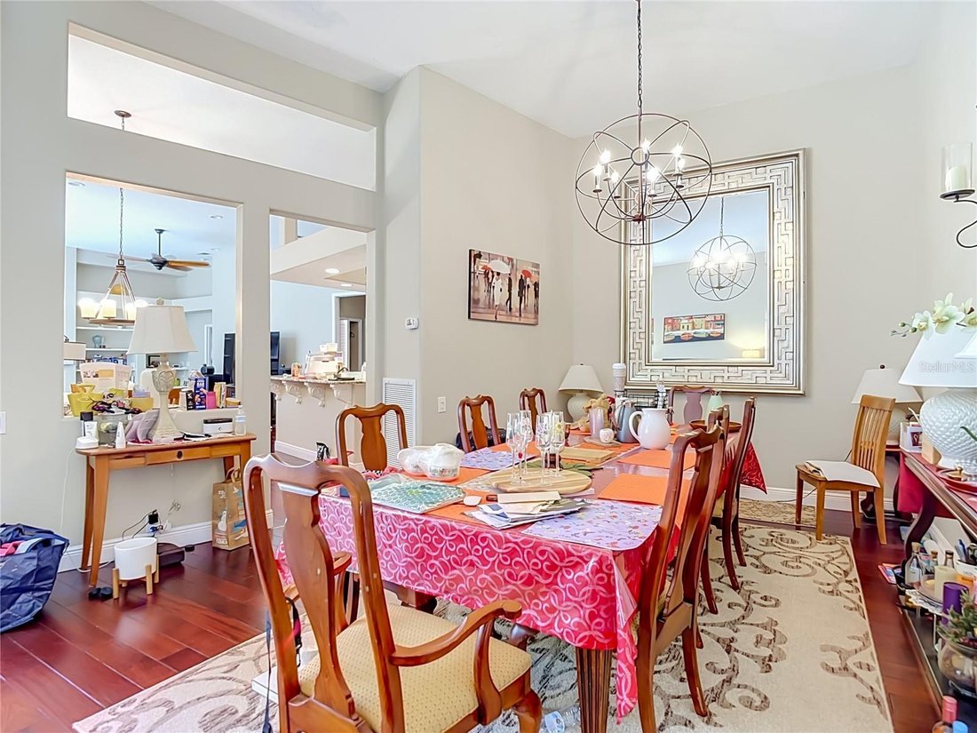 House in Tampa, Florida, United States 5 - 18697582