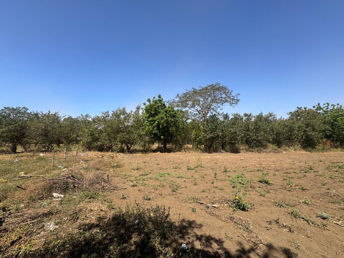 Farm Ranch in San Jerónimo, Leon, Nicaragua 4 - 18698240