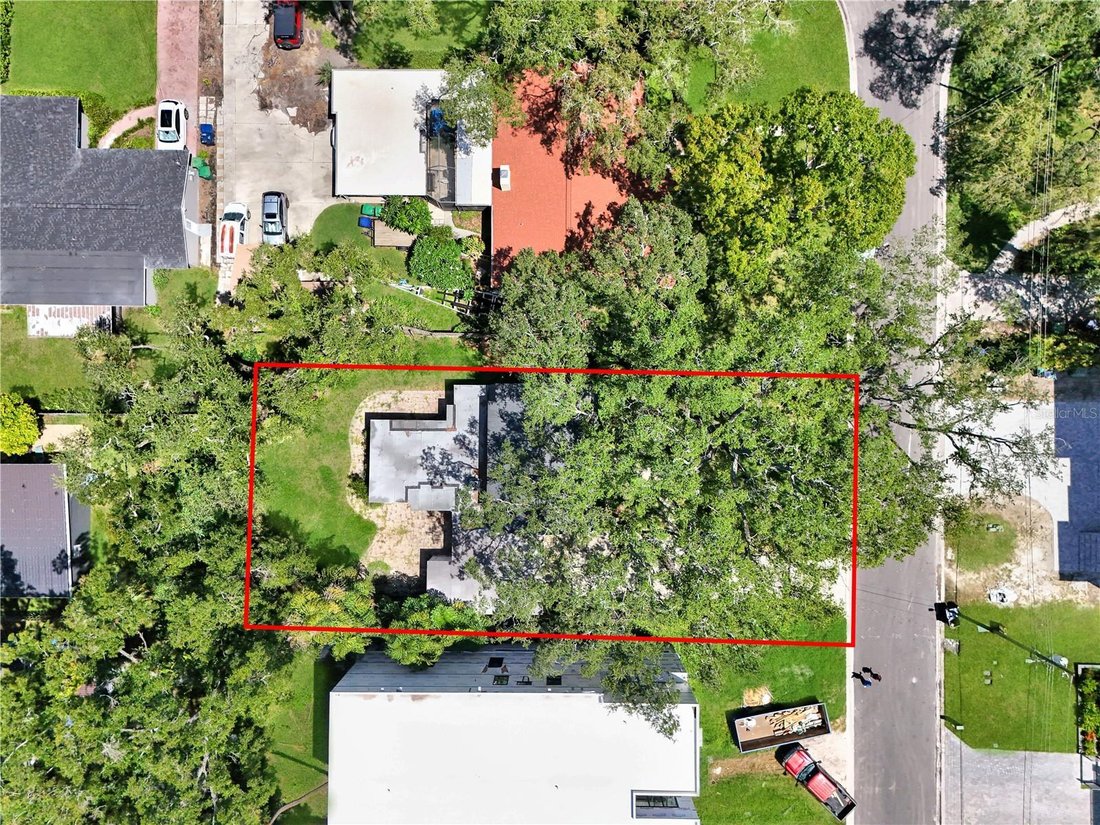 House in Tampa, Florida, United States 5 - 18697581