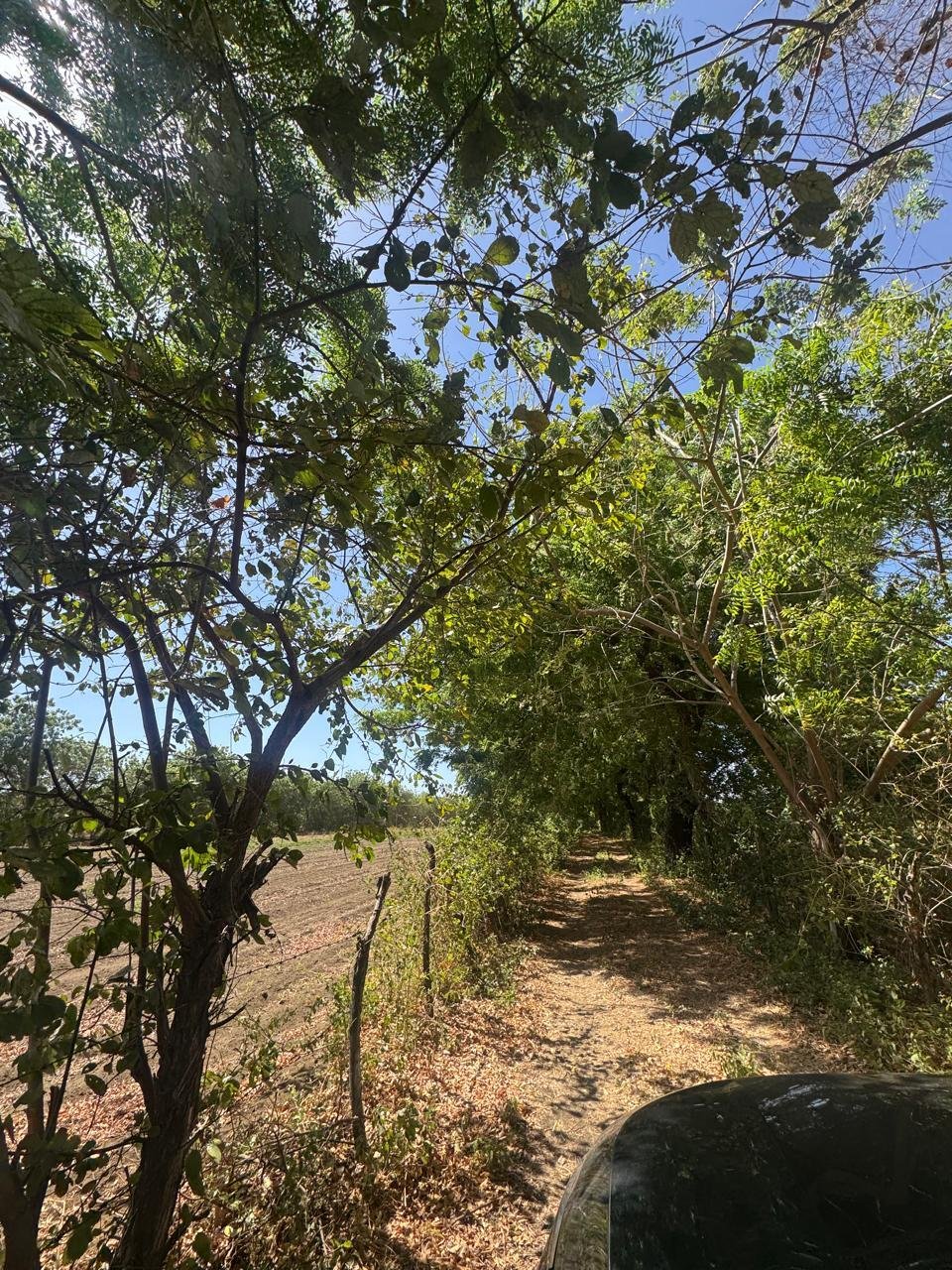 Farm Ranch in San Jerónimo, Leon, Nicaragua 2 - 18698240
