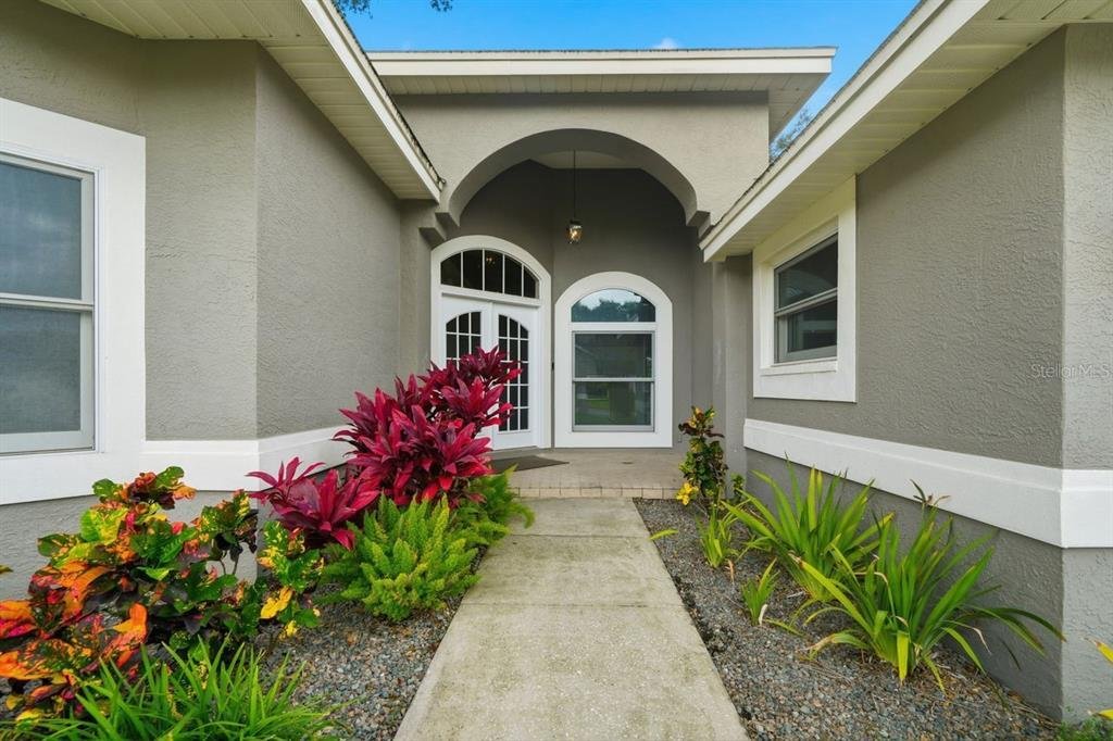 House in Dunedin, Florida, United States 5 - 18696598
