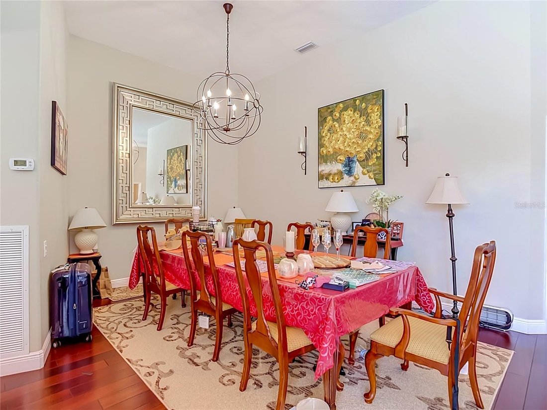 House in Tampa, Florida, United States 4 - 18697582