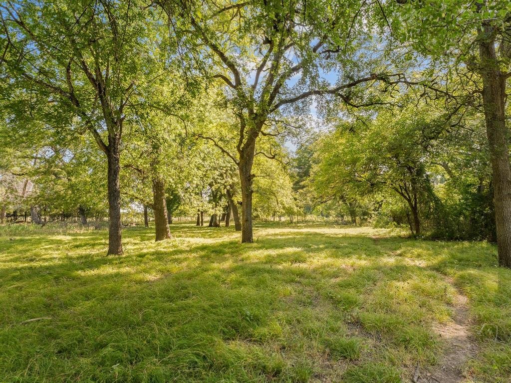 Farm Ranch in Decatur, Texas, United States 1 - 18698446