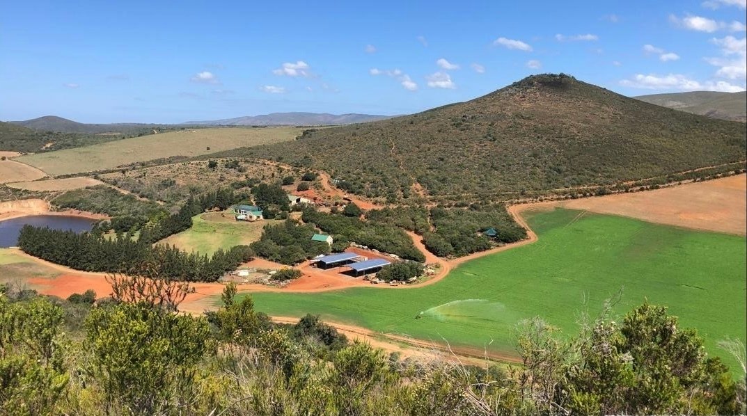 Farm Ranch in Mosel, Eastern Cape, South Africa 1 - 18696447