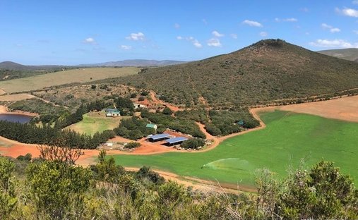 Farm Ranch in Mosel, Eastern Cape, South Africa 1