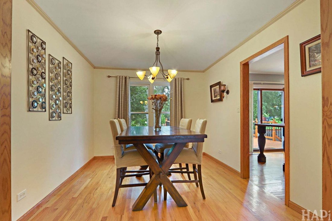House in Elk Grove Village, Illinois, United States 5 - 18697773