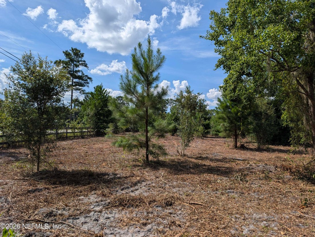 Fruit Cove, Florida, United States 5 - 18697002