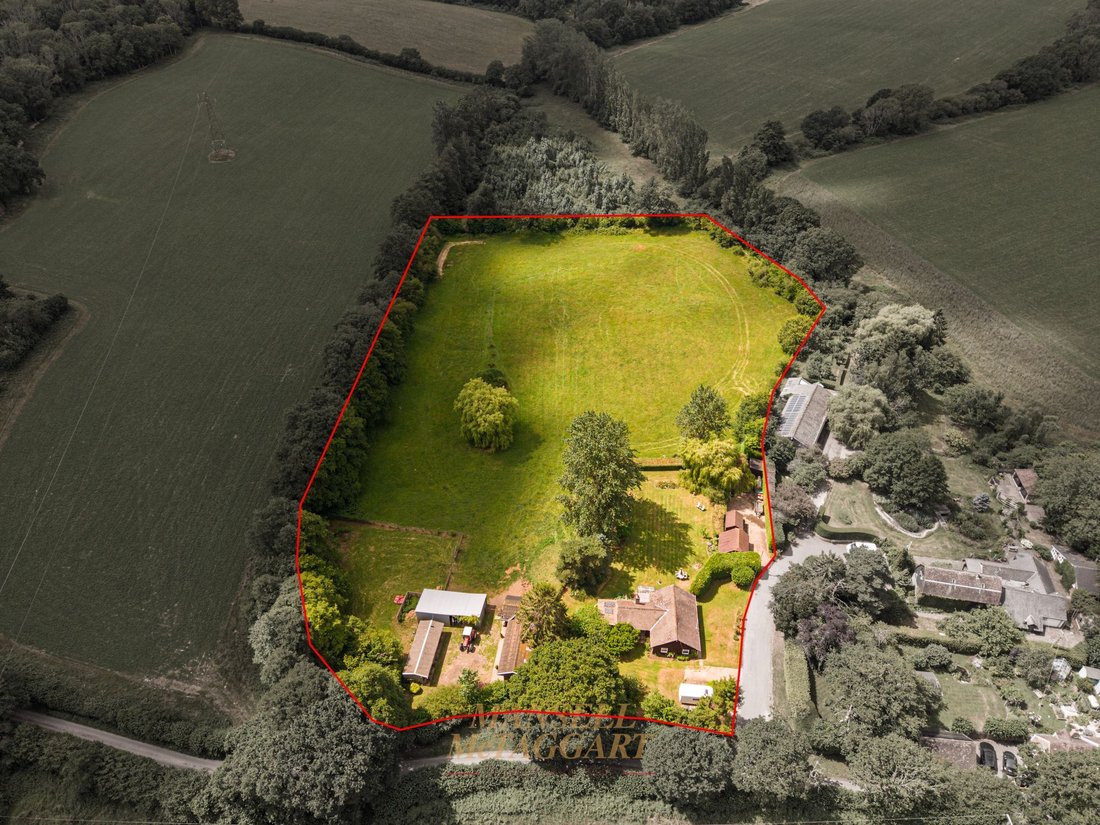 Farm Ranch in Balls Green, Hartfield, England 3 - 18352507