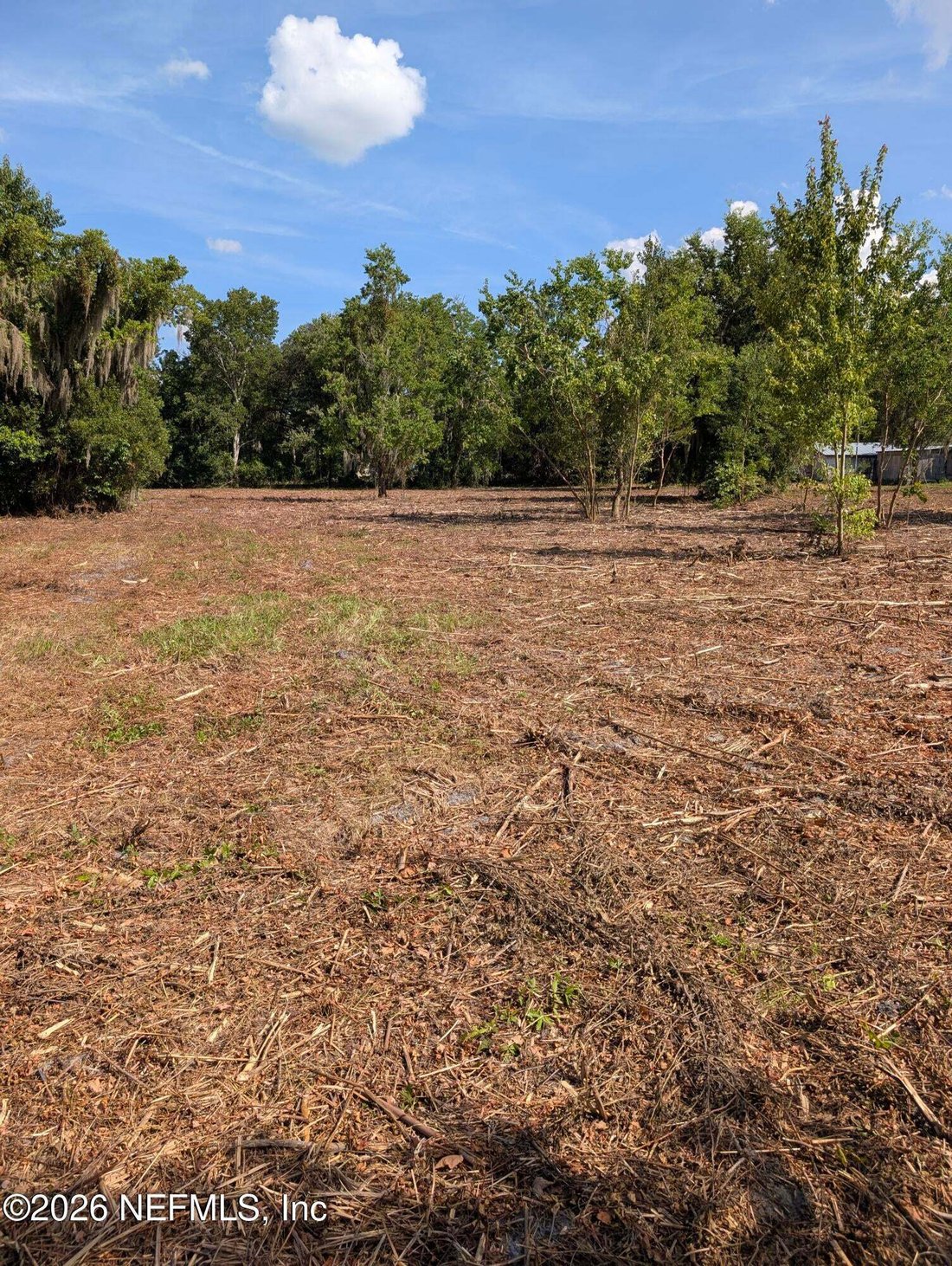 Fruit Cove, Florida, United States 1 - 18697002