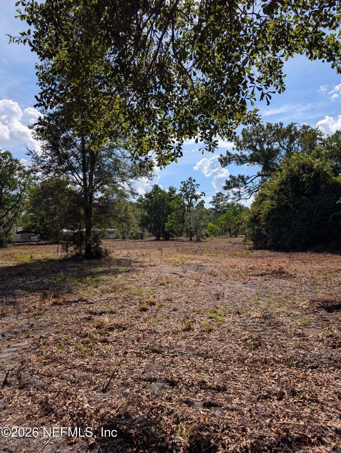 Fruit Cove, Florida, United States 4 - 18697002